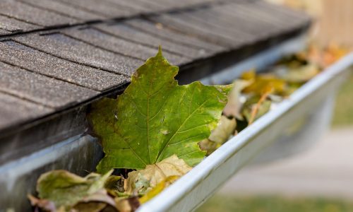 Gutter cleaning near me Chicago